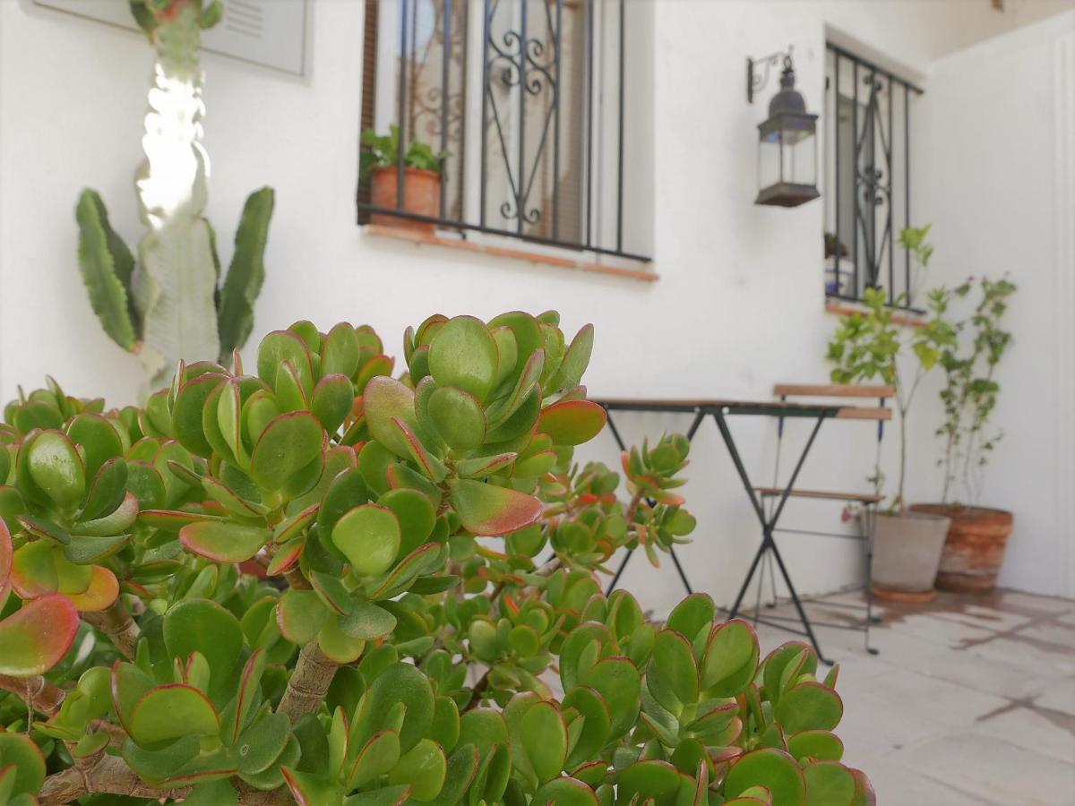 Amplio Y Con Encanto En El Centro Historico タリファ エクステリア 写真